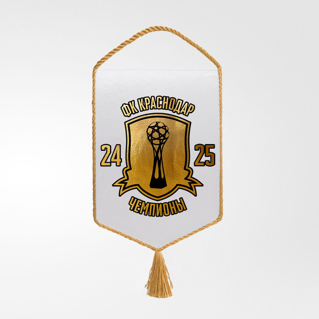 Вымпел «Чемпионы 24/25»