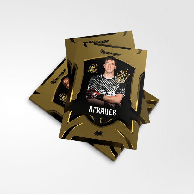 Набор карточек «Чемпионы 24/25»