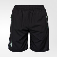 Шорты FCK Team Official Shorts 25/26