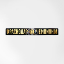 Шарф легкий «Чемпионы 24/25»