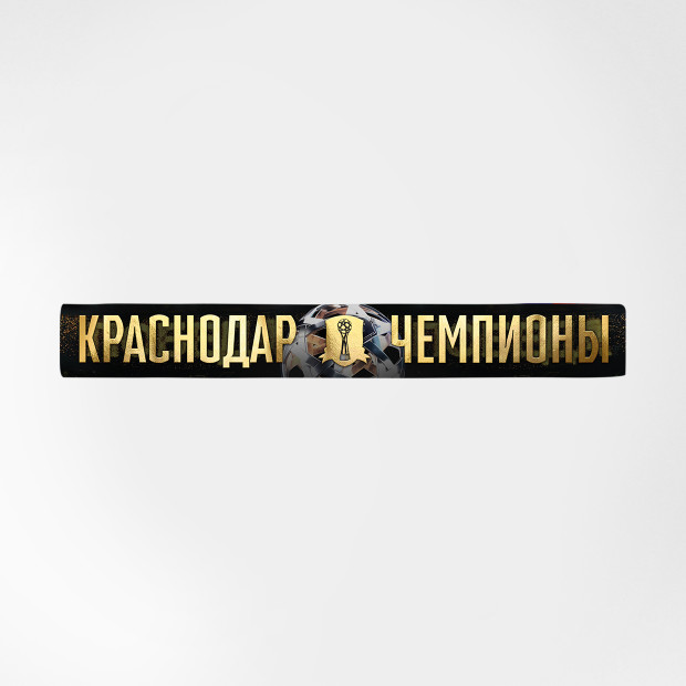 Шарф легкий «Чемпионы 24/25»