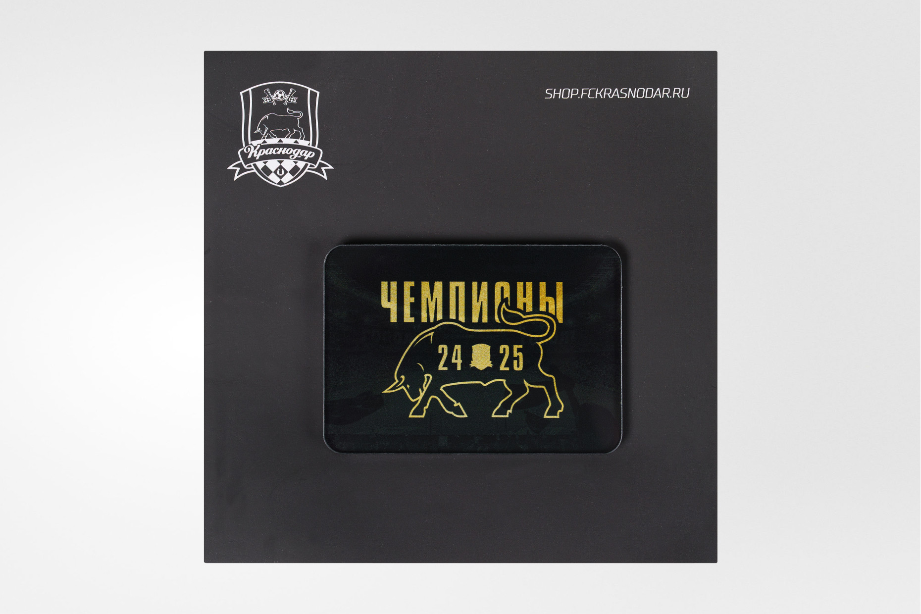 Магнит акриловый «Чемпионы 24/25»