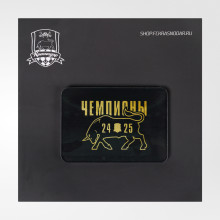 Магнит акриловый «Чемпионы 24/25»