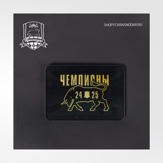 Магнит акриловый «Чемпионы 24/25»