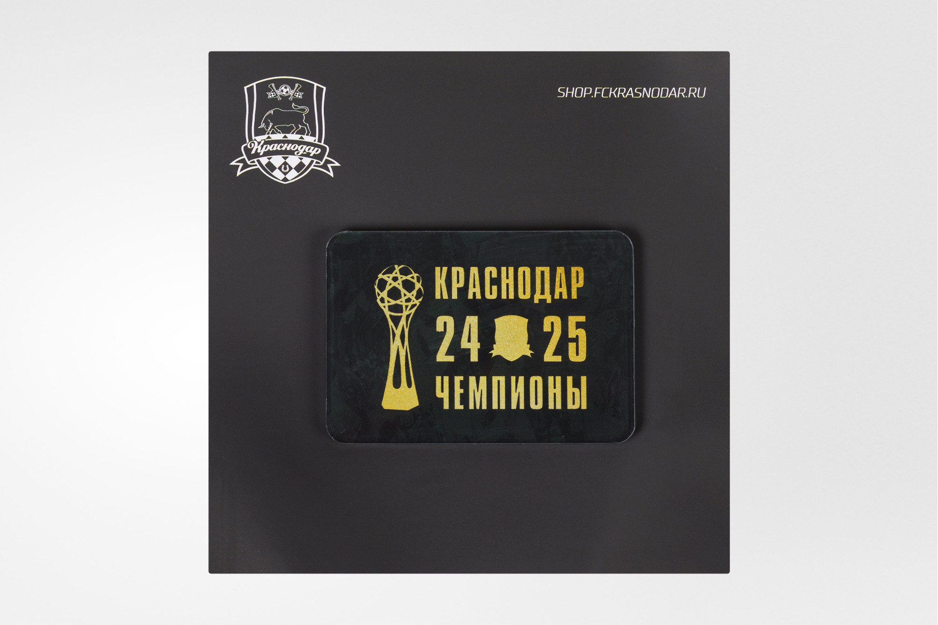 Магнит акриловый «Чемпионы 24/25»