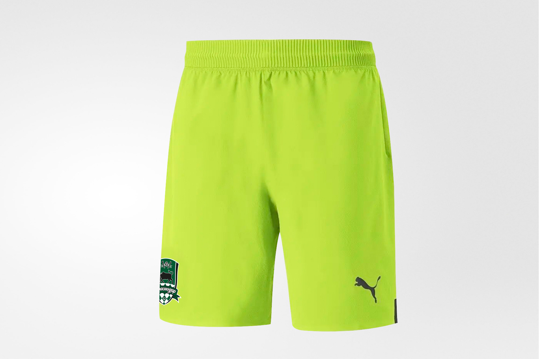Шорты вратарские Puma FCK 22/23