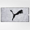 Полотенце Puma Team Towel (50x100cm)