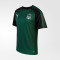 Футболка тренировочная Puma FC Krasnodar Training SS Jersey Футболка тренировочная Puma FC Krasnodar Training SS Jersey