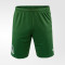 Шорты игровые Puma FC Krasnodar 19/20 Replica Shorts Шорты игровые Puma FC Krasnodar 19/20 Replica Shorts