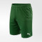 Шорты игровые Puma FC Krasnodar 19/20 Replica Shorts Шорты игровые Puma FC Krasnodar 19/20 Replica Shorts