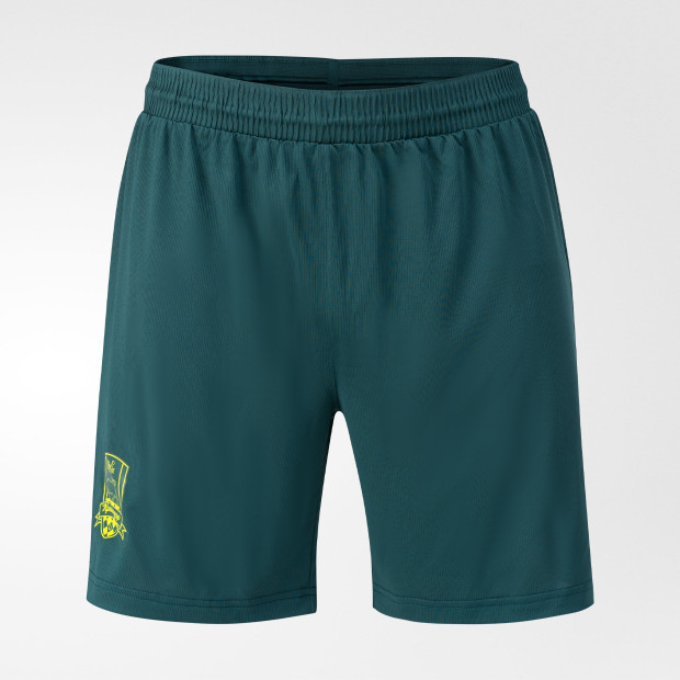 Шорты FCK PRO Training Shorts 24/25