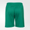 Шорты FCK PRO Training Shorts 25/26 Шорты FCK PRO Training Shorts 25/26