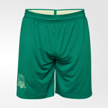 Шорты FCK PRO Training Shorts 25/26