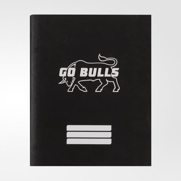 Тетрадь «Go, bulls», 48 листов