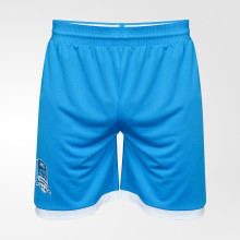 Шорты вратарские FCK GK Shorts 25/26