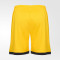 Шорты вратарские FCK GK Shorts 25/26 Шорты вратарские FCK GK Shorts 25/26