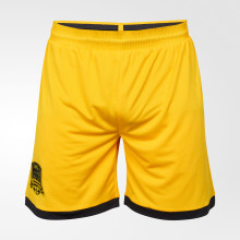 Шорты вратарские FCK GK Shorts 25/26