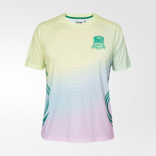 Футболка тренировочная FCK PRO TRG Jersey 25/26