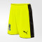 Шорты детские Puma FC Krasnodar Tourmament GK Шорты детские Puma FC Krasnodar Tourmament GK