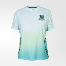 Футболка тренировочная FCK PRO TRG Jersey 25/26