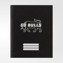 Тетрадь «Go, bulls», 24 листа