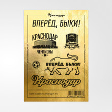 Набор наклеек «Чемпионы 24/25»