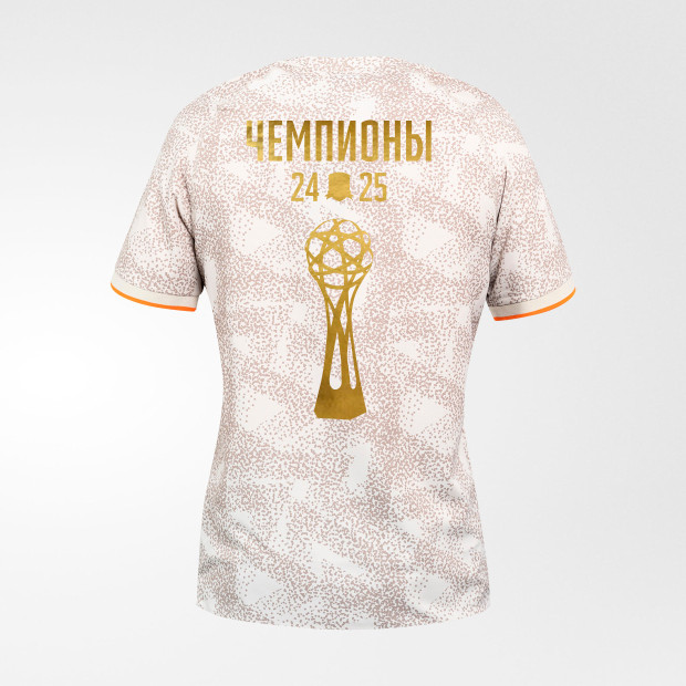 Футболка игровая «Чемпионы 24/25»